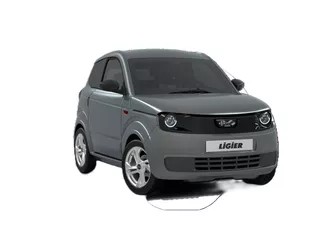 Ligier Myli E.Pic 12kwh  camera st.bekrachtiging NIEUW